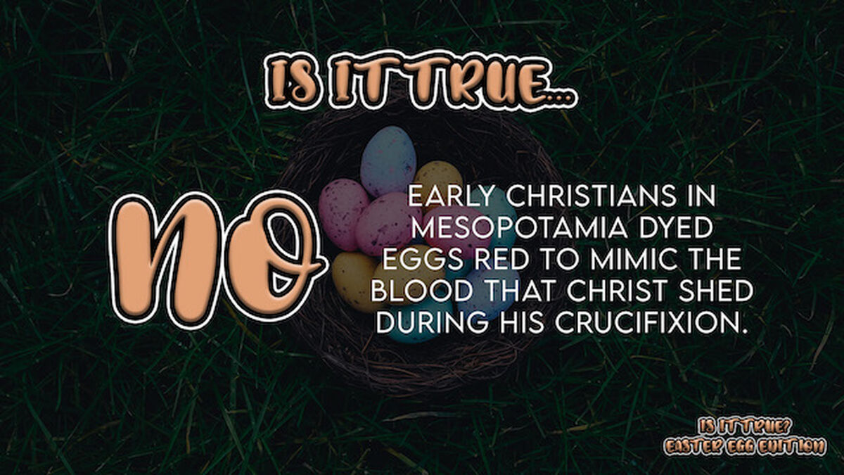 Is It True? Easter Egg Edition image number null